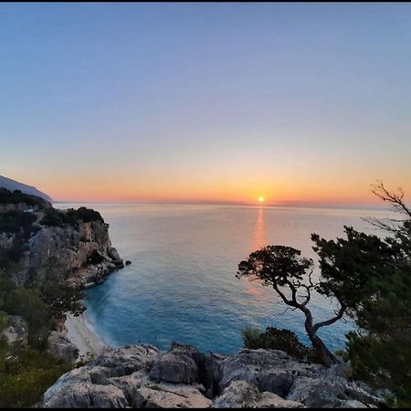 Appartamenti Manuela Cala Gonone Εξωτερικό φωτογραφία